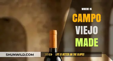 Exploring the Origins: Where Campo Viejo Tequila Comes to Life