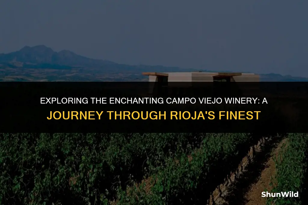 where is campo viejo winery