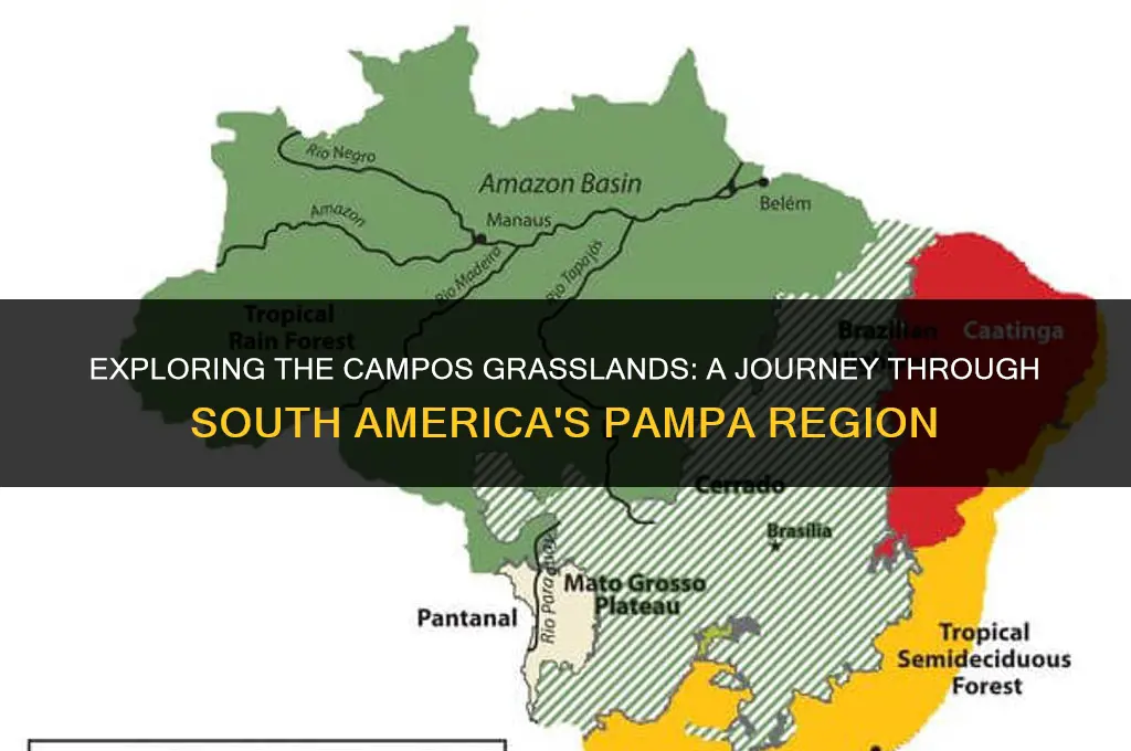 where is campos grassland located