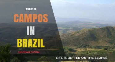 Discovering Campos: A Hidden Gem in Brazil's Landscape