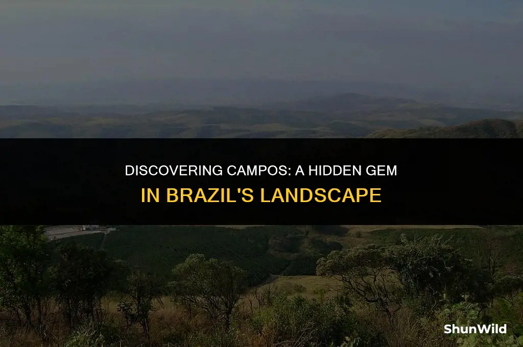 where is campos in brazil