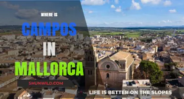 Discovering Campos: A Hidden Gem in Mallorca's Countryside