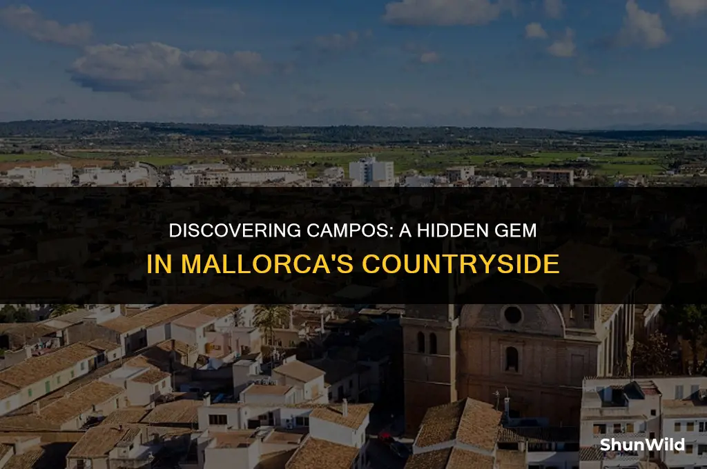 where is campos in mallorca