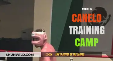 Where is Canelo Training Camp: Unveiling the Secrets of His Success