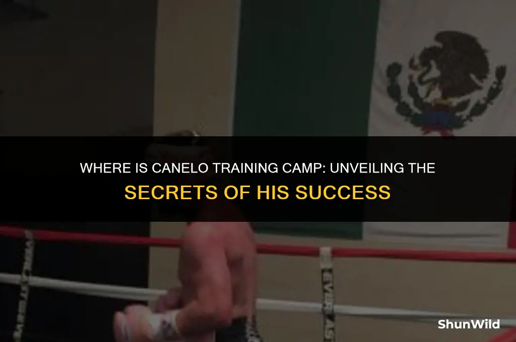 where is canelo training camp