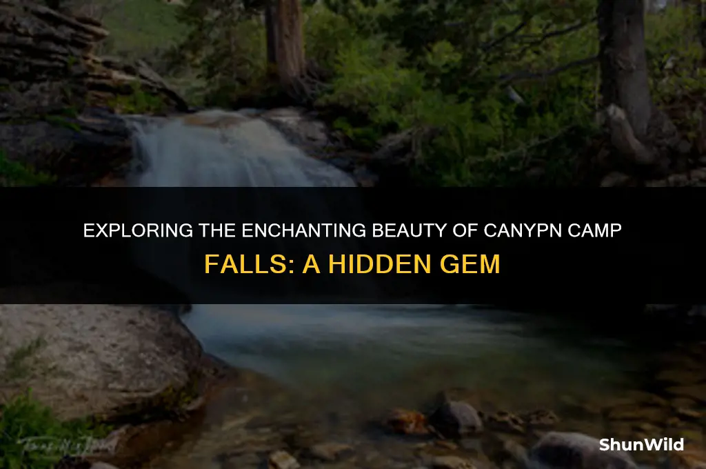 where is canypn camp falls