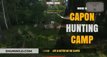 Discovering the Hidden Gem: Capon Hunting Camp's Secret Location