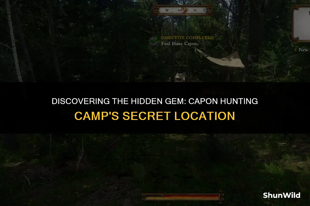 where is capon hunting camp