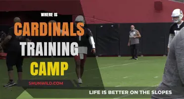 Exploring the Arizona Cardinals' Training Camp Location