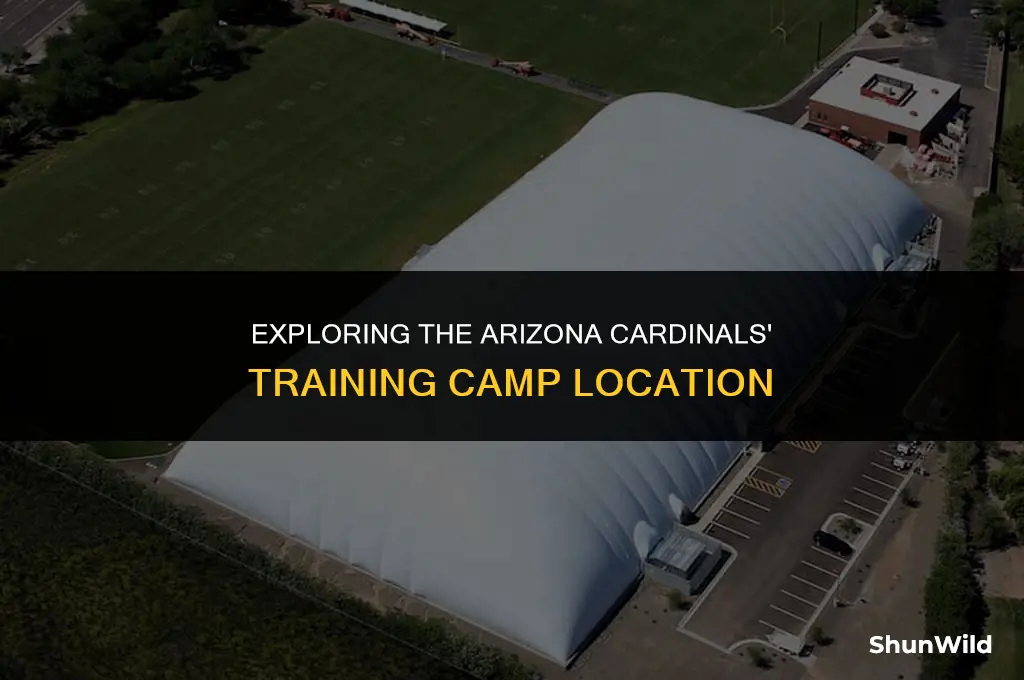where is cardinals training camp