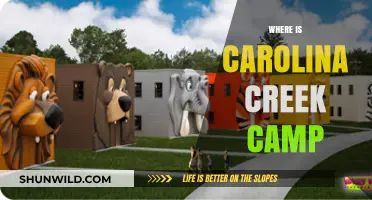 Discovering Carolina Creek Camp: Your Ultimate Guide to Location and More