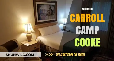 Exploring the Culinary Journey of Carroll Camp Cooke