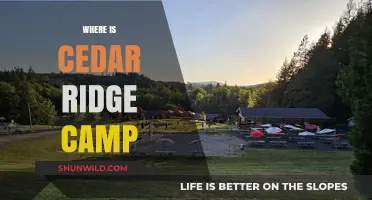 Discovering the Hidden Gem: Cedar Ridge Camp's Serene Location