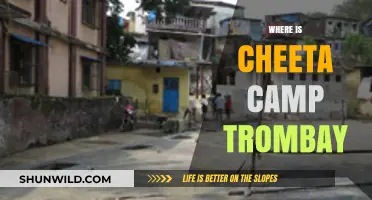 Exploring Trombay: Unveiling the Mystery of Cheeta Camp's Location
