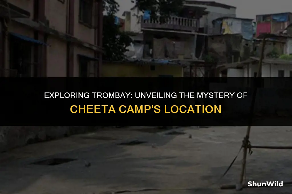 where is cheeta camp trombay