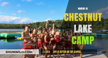 Discovering Chestnut Lake Camp: Your Ultimate Guide to Location and More