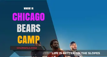 Exploring the Windy City: A Guide to Chicago Bears Training Camp