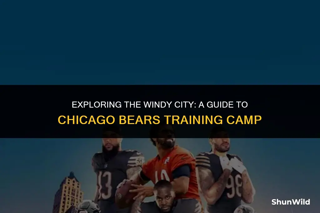 where is chicago bears camp