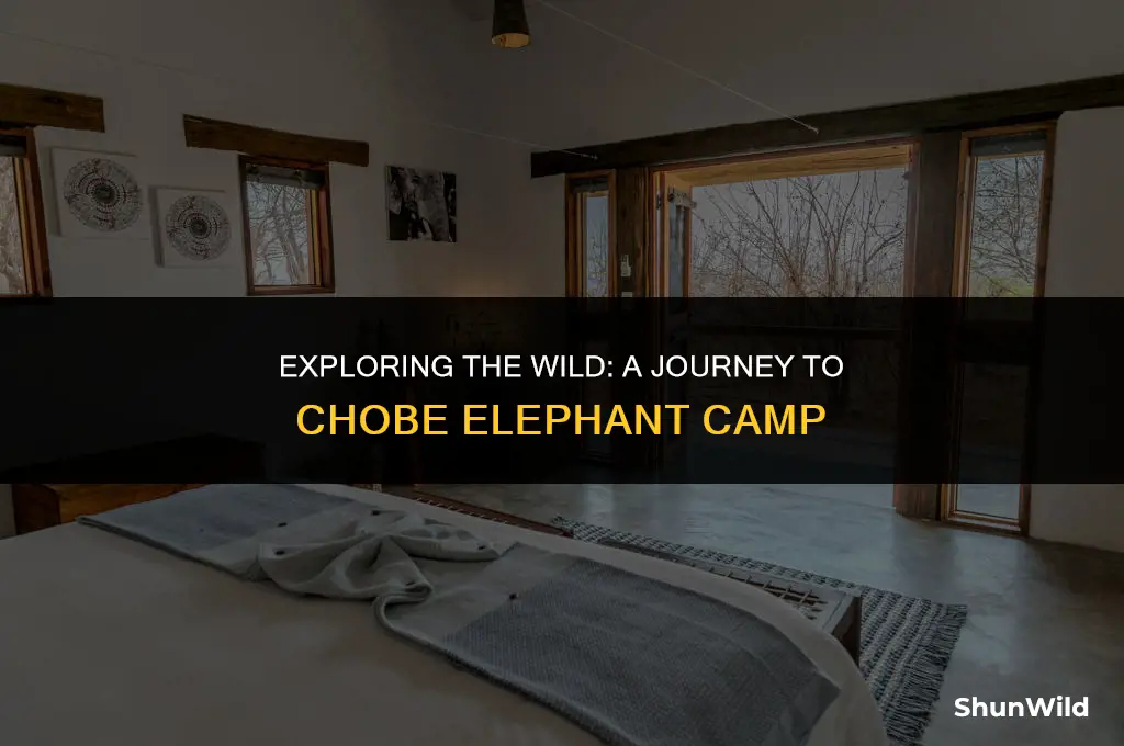 where is chobe elephant camp