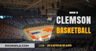 Clemson Basketball: Where Do Tigers Rank?