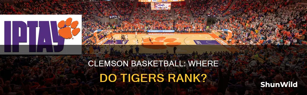 where is clemson basketball
