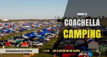 Ultimate Guide to Coachella Camping: Where to Stay and What to Expect