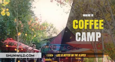 Exploring the Global Coffee Scene: Where is Coffee Camp?