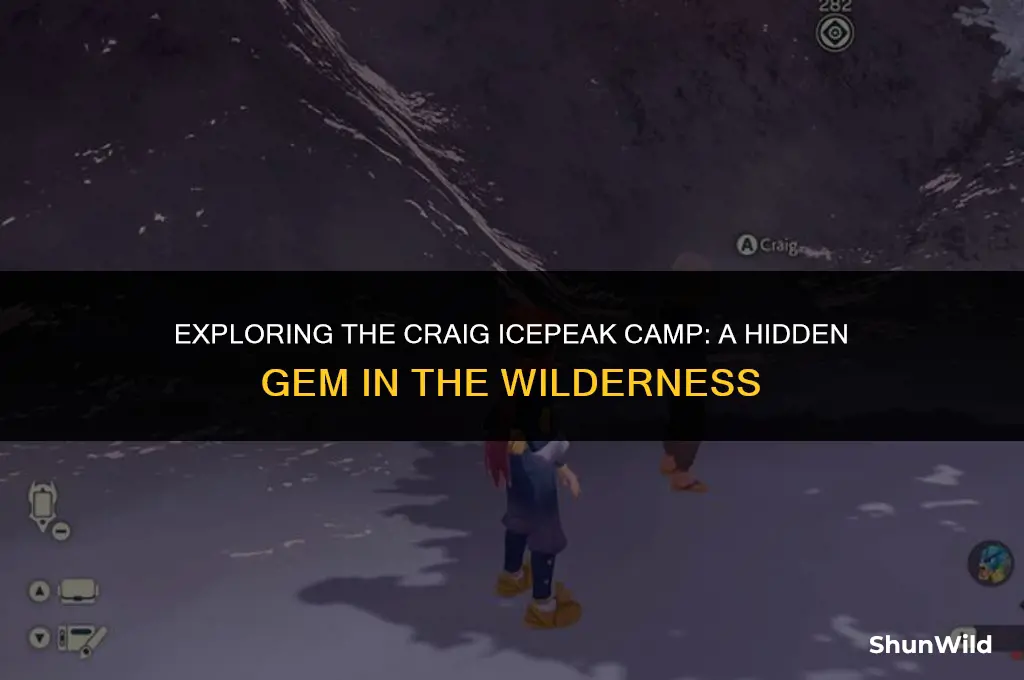where is craig icepeak camp