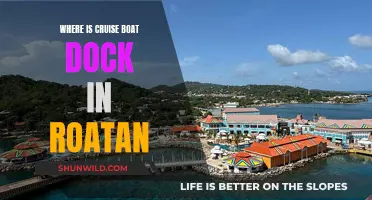 Cruise Boat Dock Options in Roatan