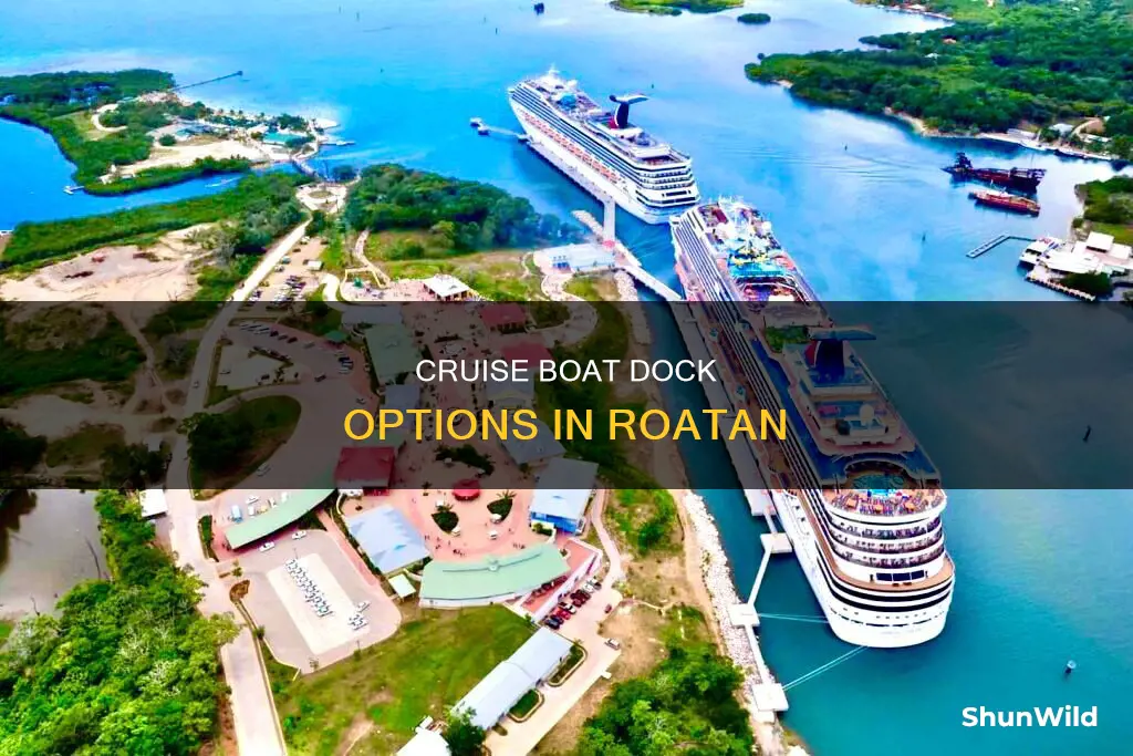 where is cruise boat dock in roatan