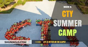 Unveiling the Ultimate Summer Camp Experience: Where Fun Meets Adventure!