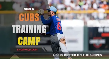 Exploring the Chicago Cubs' Spring Training Home: A Fan's Guide