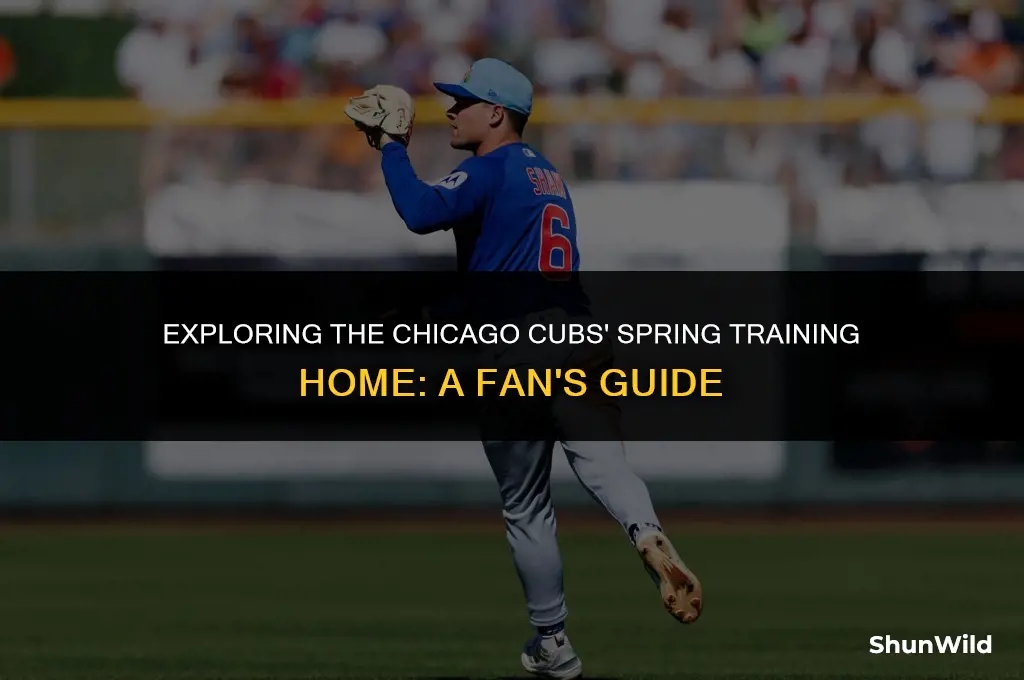 where is cubs training camp