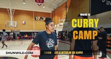 Exploring the Flavorful World of Curry: A Camp for Enthusiasts