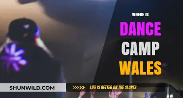 Discover the Ultimate Dance Camp Experience in Wales