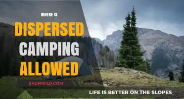Discover Legal Dispersed Camping Spots: Where to Camp Freely