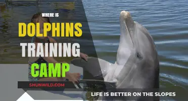 Exploring the Location of the Dolphins' Training Camp