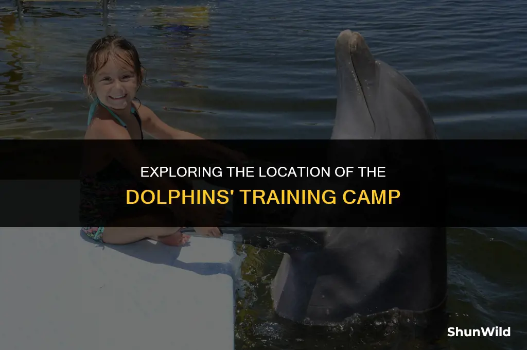 where is dolphins training camp