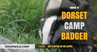 Exploring Dorset: Unveiling the Mystery of Camp Badger's Location