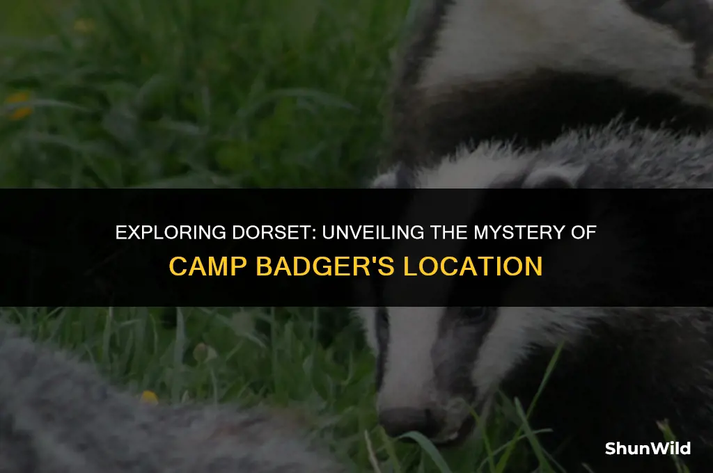 where is dorset camp badger