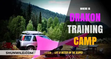 Exploring the Mythical Drakon Training Camp: A Journey Unveiled