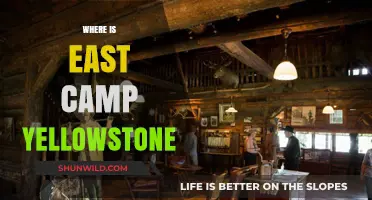 Exploring East Camp Yellowstone: A Guide to Its Location and Highlights