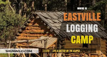 Exploring the Historic Eastville Logging Camp: A Journey Back in Time