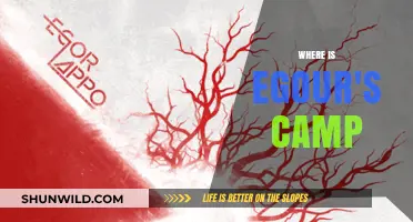 Exploring the Mystery: Where is Egor's Camp Located?