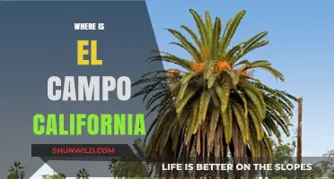 Exploring El Campo, California: A Hidden Gem in the Golden State