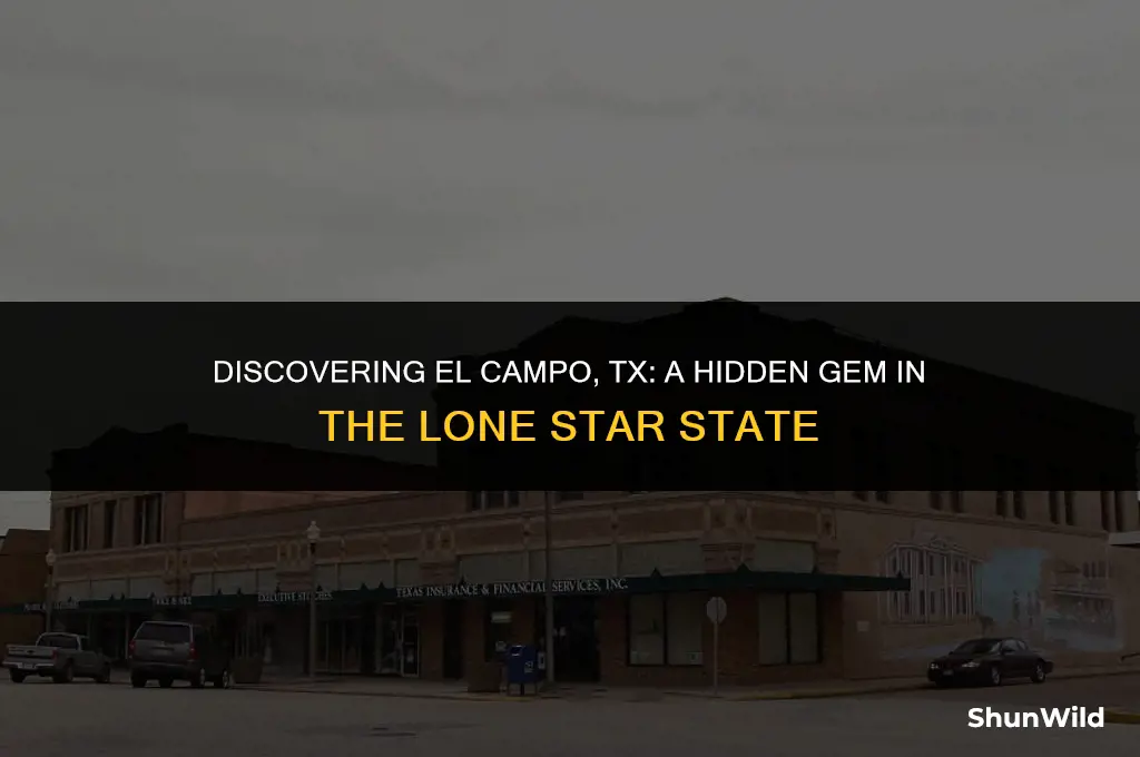 where is el campo tx