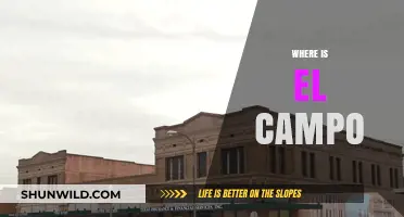 Discovering El Campo: Location, History, and Hidden Gems Revealed