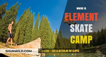 Unveiling the Ultimate Skateboarding Destination: Element Skate Camp