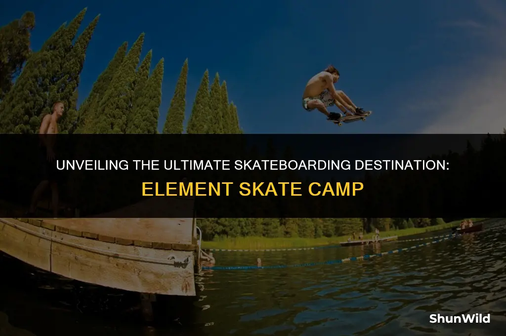 where is element skate camp