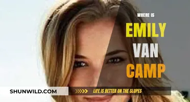 Tracking Emily VanCamp: Her Journey from Everwood to Hollywood Stardom
